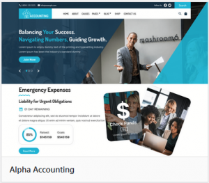 NJ Web Services - CPA Services