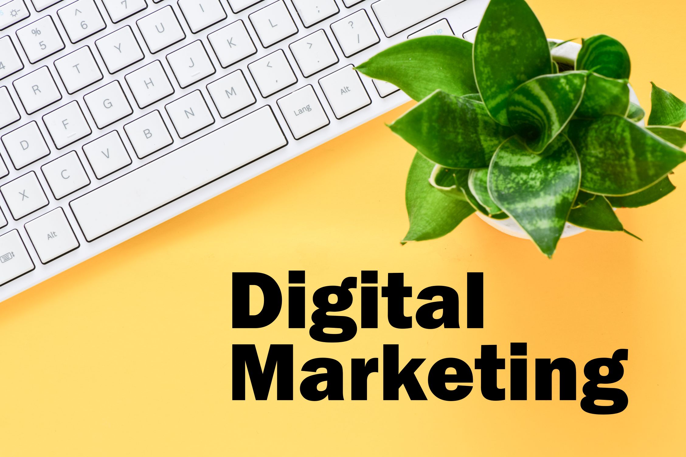 Digital Marketing - Agency in New Jersey Digital Marketing - Agency in New Jersey