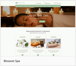 NJ Web Services - Spa